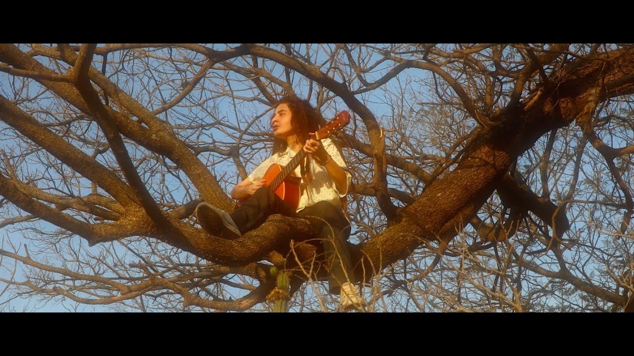 O som vem assim (TRIZ)